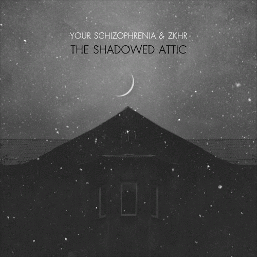 Your Schizophrenia : The Shadowed Attic